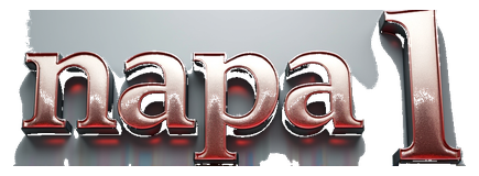 napa 1 logo